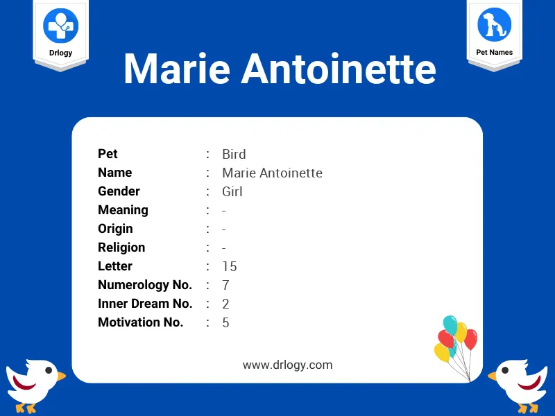Marie Antoinette Name Meaning